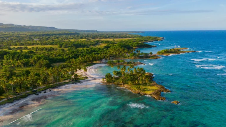 Vista aérea de una costa tropical con palmeras y aguas cristalinas, representando la calidad de vida al obtener la residencia fiscal en República Dominicana.