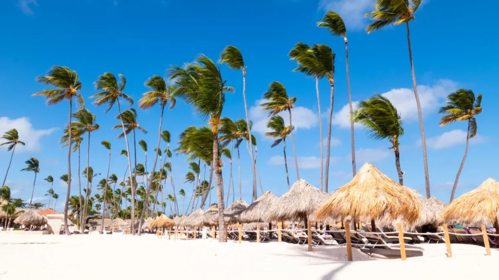 Playa tropical paradisíaca en Costa Rica con palmeras, arena blanca y sombrillas ecológicas bajo un cielo azul.